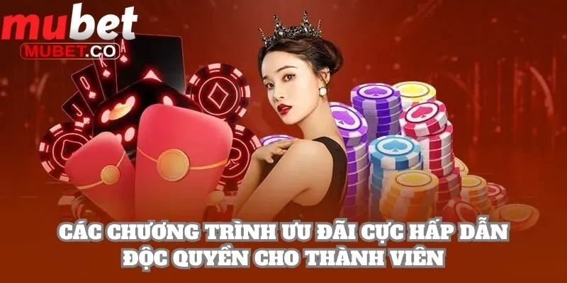 Mubet 31 Các chương trình ưu đãi cực hấp dẫn độc quyền cho thành viên